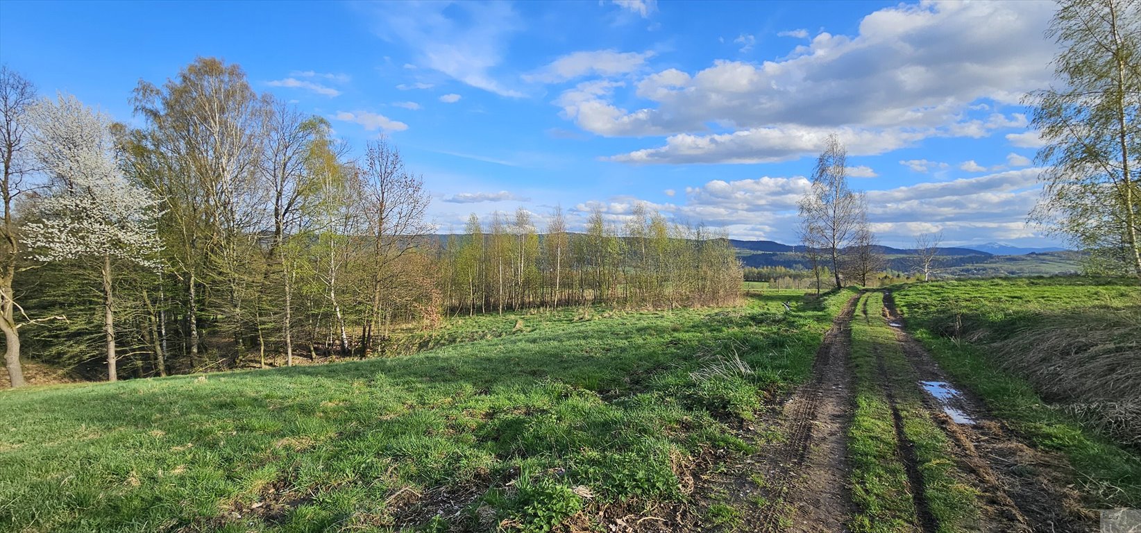 Działka rolna w Gilowicach, 1944 m², dostęp do mediów Gilowice  1 944m2 Foto 1