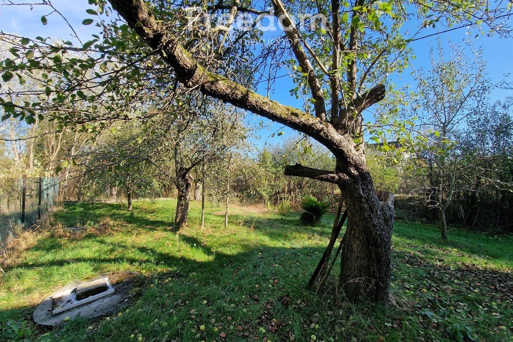 Dom na sprzedaż Wólka Dobryńska  40m2 Foto 17