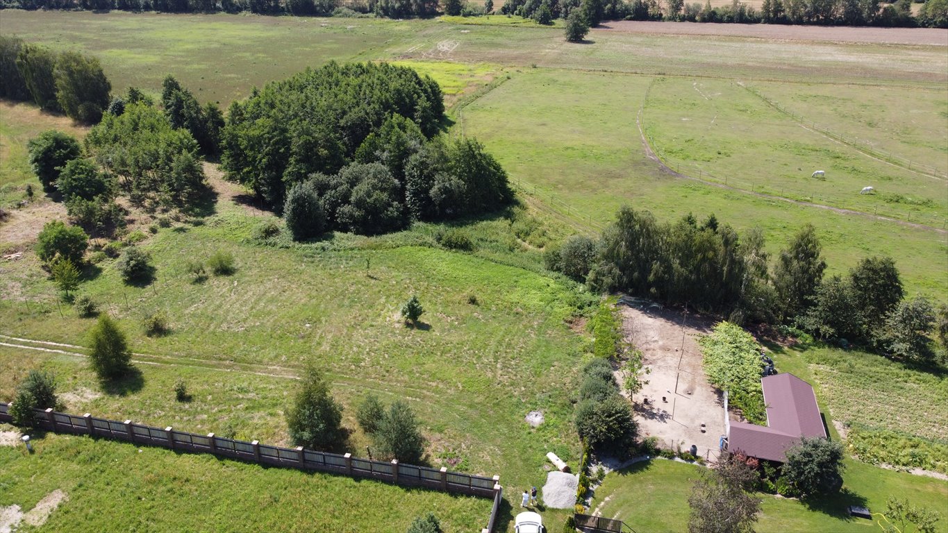 Działka budowlana na sprzedaż Zakrzyce  3 838m2 Foto 1