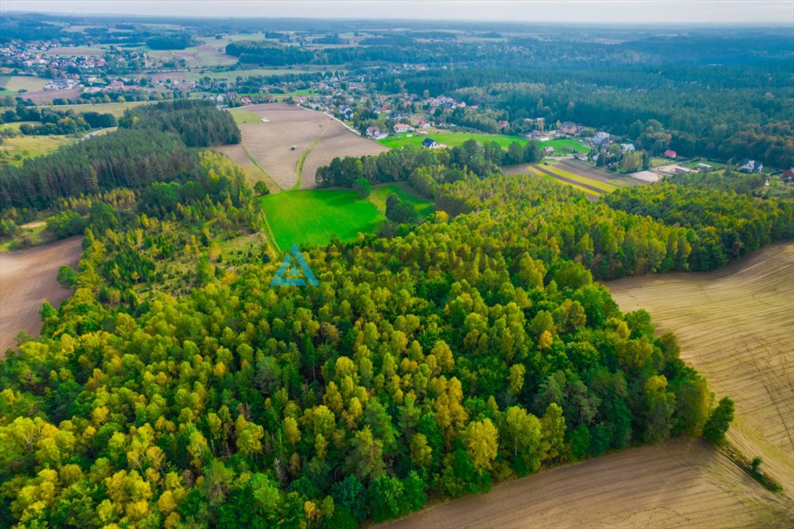 Działka rolna na sprzedaż Gołubie  102 067m2 Foto 5