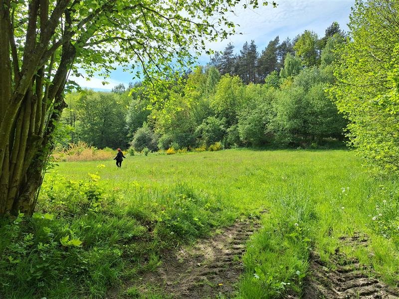 Na sprzedaż urokliwa działka 3000 m² z lasem i mediami Paproty, Paproty  3 000m2 Foto 1