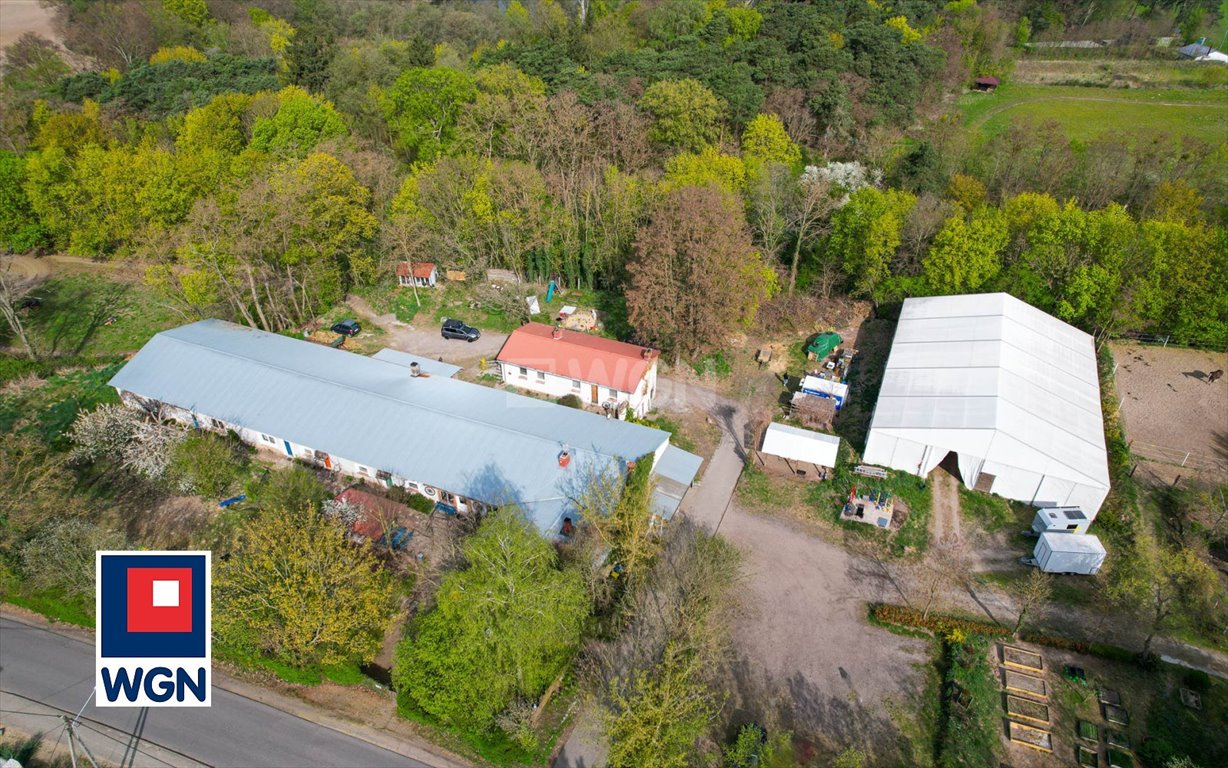 Agroturystyka z potencjałem w Szamocinie – 1675 m2, 80 m2 dom Szamocin, Szamocin, Polna  1 675m2 Foto 1