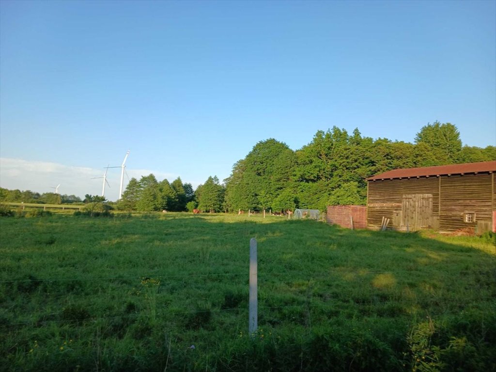 Działka 5,22 ha pod zabudowę i rekreację, las, media Darłowo, Sińczyca  52 246m2 Foto 1