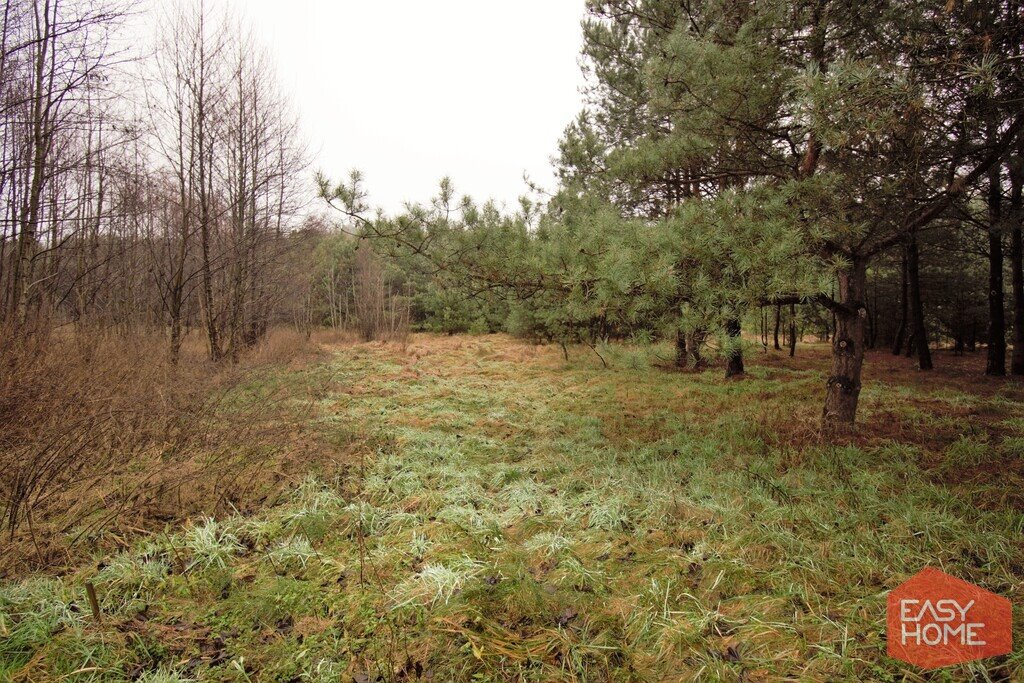 Działka budowlana na sprzedaż Kuźniczka  2 881m2 Foto 1