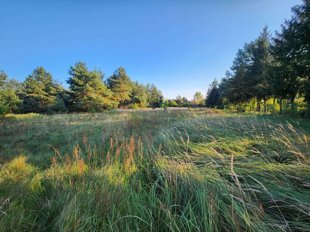 Działka budowlana na sprzedaż Przybyszewo, Henrykowska  2 548m2 Foto 11