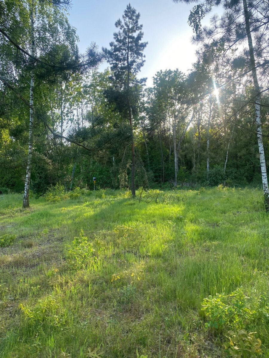 Działka leśna na sprzedaż Augustówka  1 957m2 Foto 2