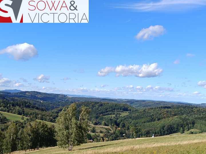 Działka inna na sprzedaż Michałkowa  3 000m2 Foto 9