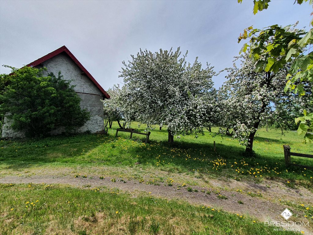 Dom na sprzedaż Pietrzwałd  120m2 Foto 7