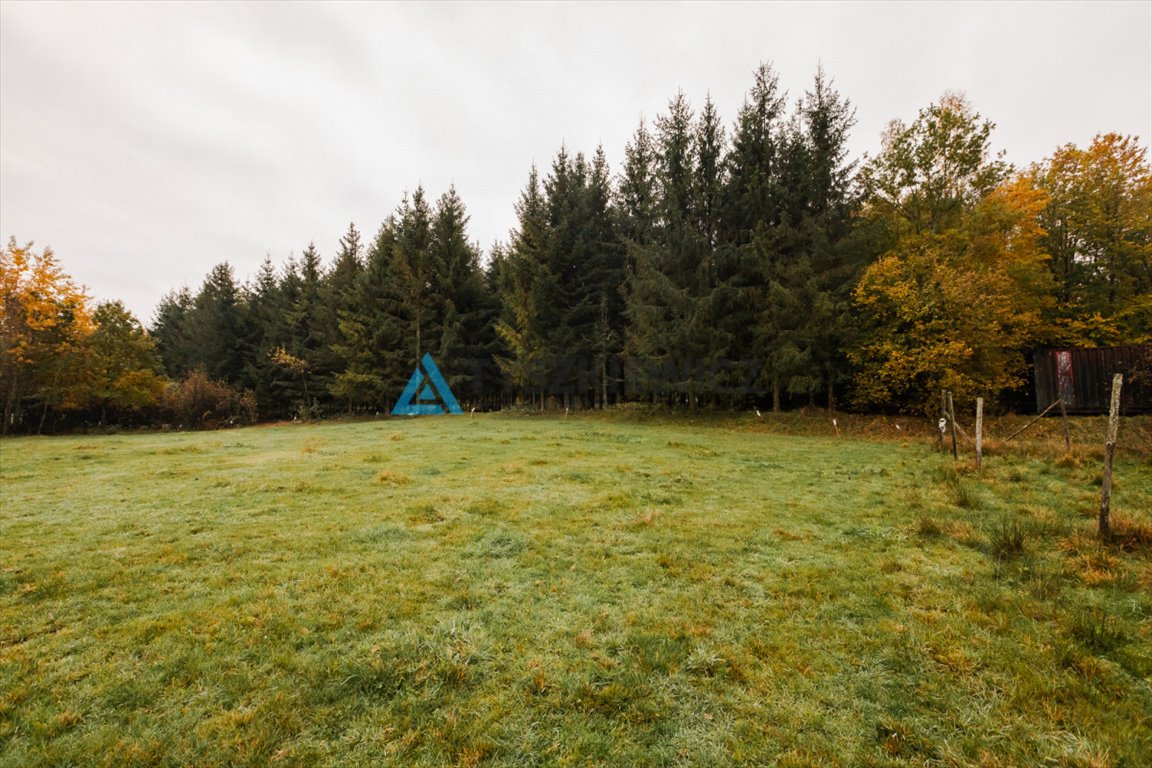 Działka rolna na sprzedaż Tłuczewo  13 493m2 Foto 5