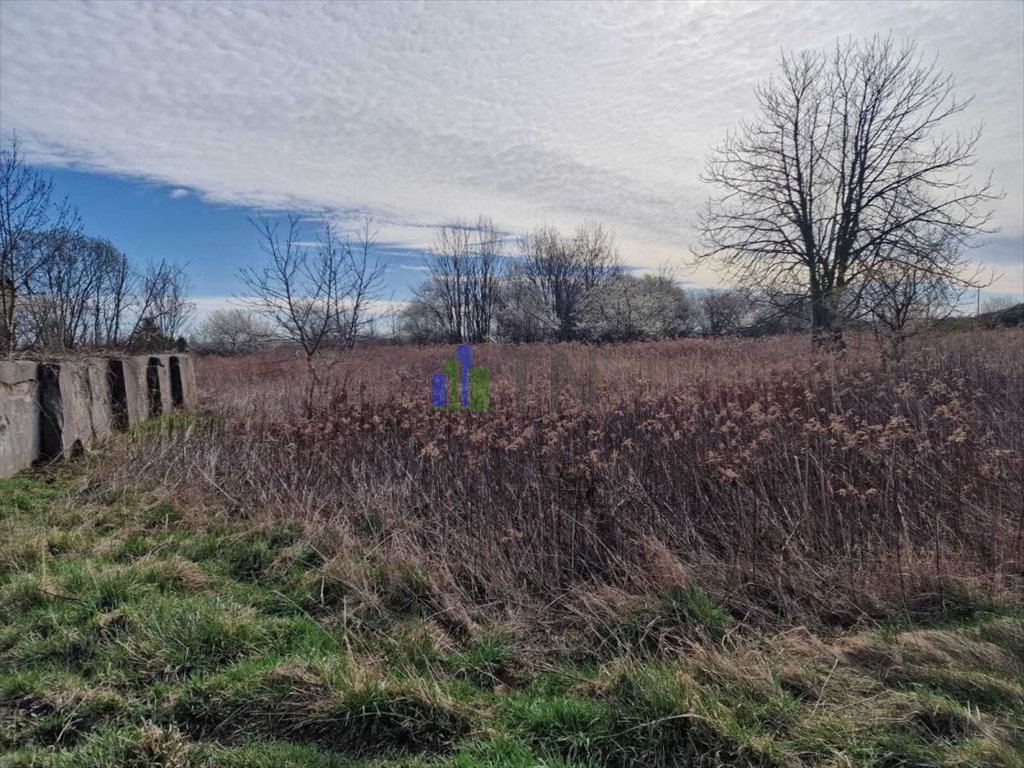 Działka budowlana na sprzedaż Jeszkowice  5 046m2 Foto 10