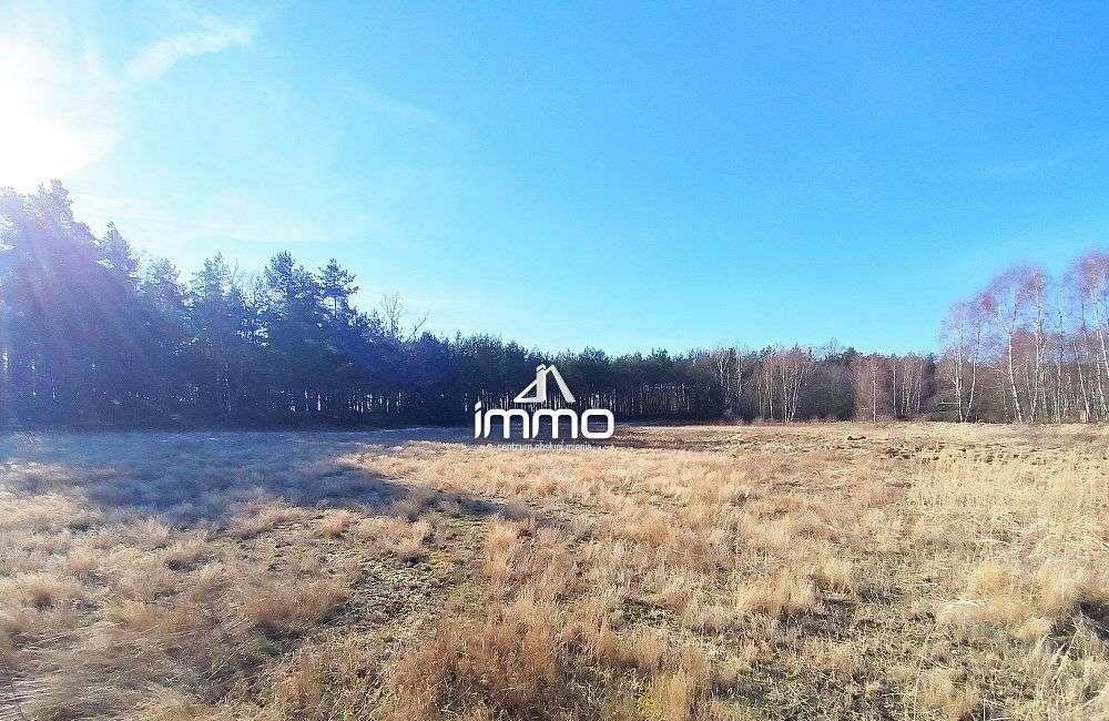 Działka pod zabudowę w Drągowie - las, cisza, polecam! Drągów  1 318m2 Foto 1