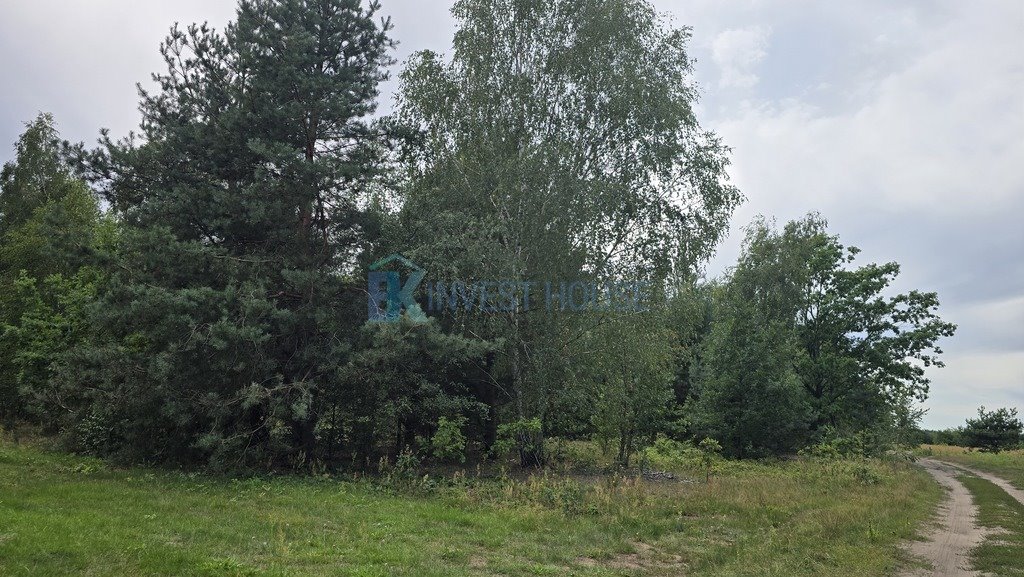 Działka 1000 m² pod letnisko w Ostrówku - polecam: Ostrówek