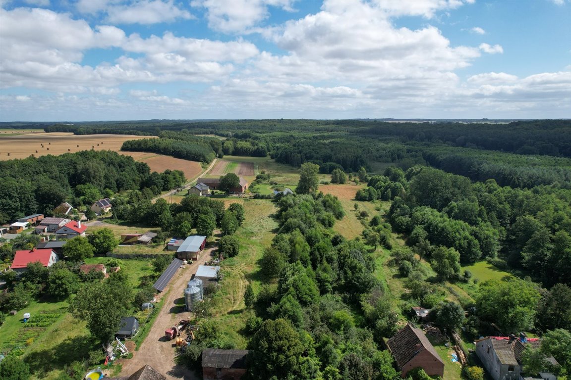 Działka inna na sprzedaż Wielka Wieś  4 000m2 Foto 4