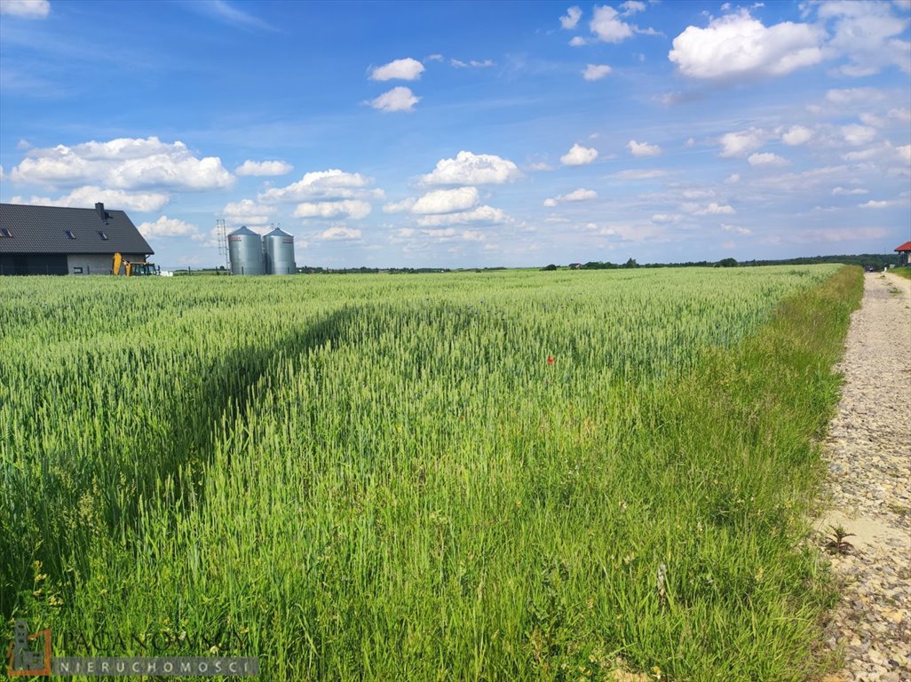 Działka inna na sprzedaż Cianowice Duże  10 500m2 Foto 2