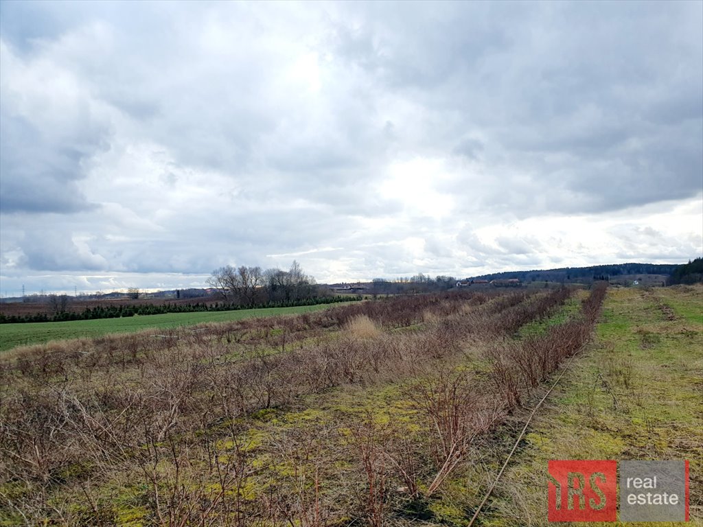 Działka budowlana na sprzedaż Chruściele  3 149m2 Foto 4