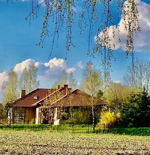 Dom na sprzedaż Łódź, Bałuty  497m2 Foto 1