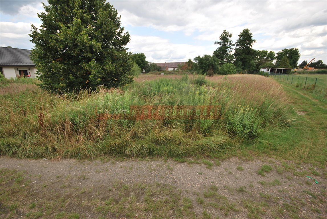 Działka inna na sprzedaż Kępa  983m2 Foto 1