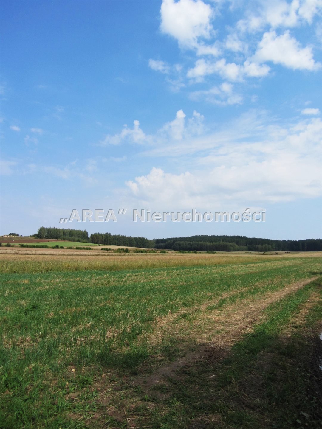 Działka leśna na sprzedaż Wierzchlesie  7 501m2 Foto 1