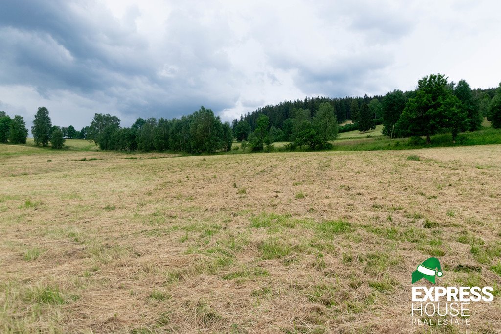 Działka budowlana na sprzedaż Stronie Śląskie, Polna  2 617m2 Foto 7