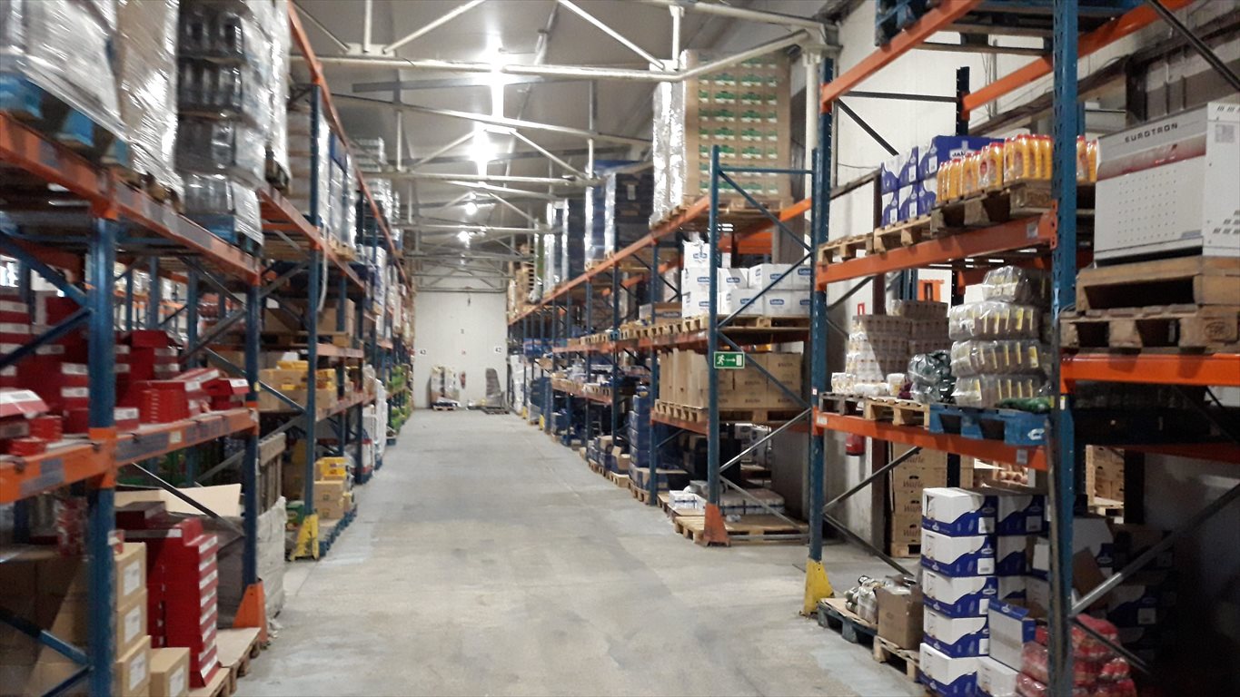 Lokal użytkowy na wynajem Luboń 1 800m2 Foto 1 Lokal użytkowy na wynajem Luboń 1 800m2 Foto 1