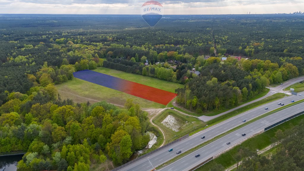 Działka budowlana na sprzedaż Emów, Gołębia  13 100m2 Foto 5