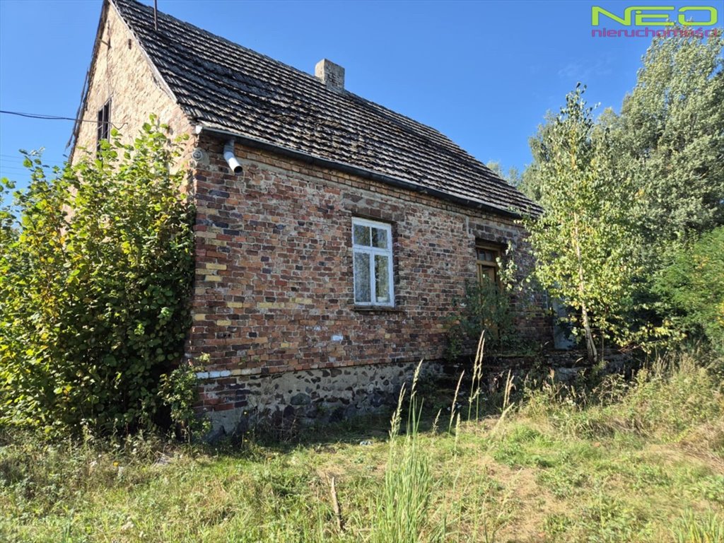 Urokliwe siedlisko na wsi z domem do remontu i dużą działką Chorzew  65m2 Foto 1