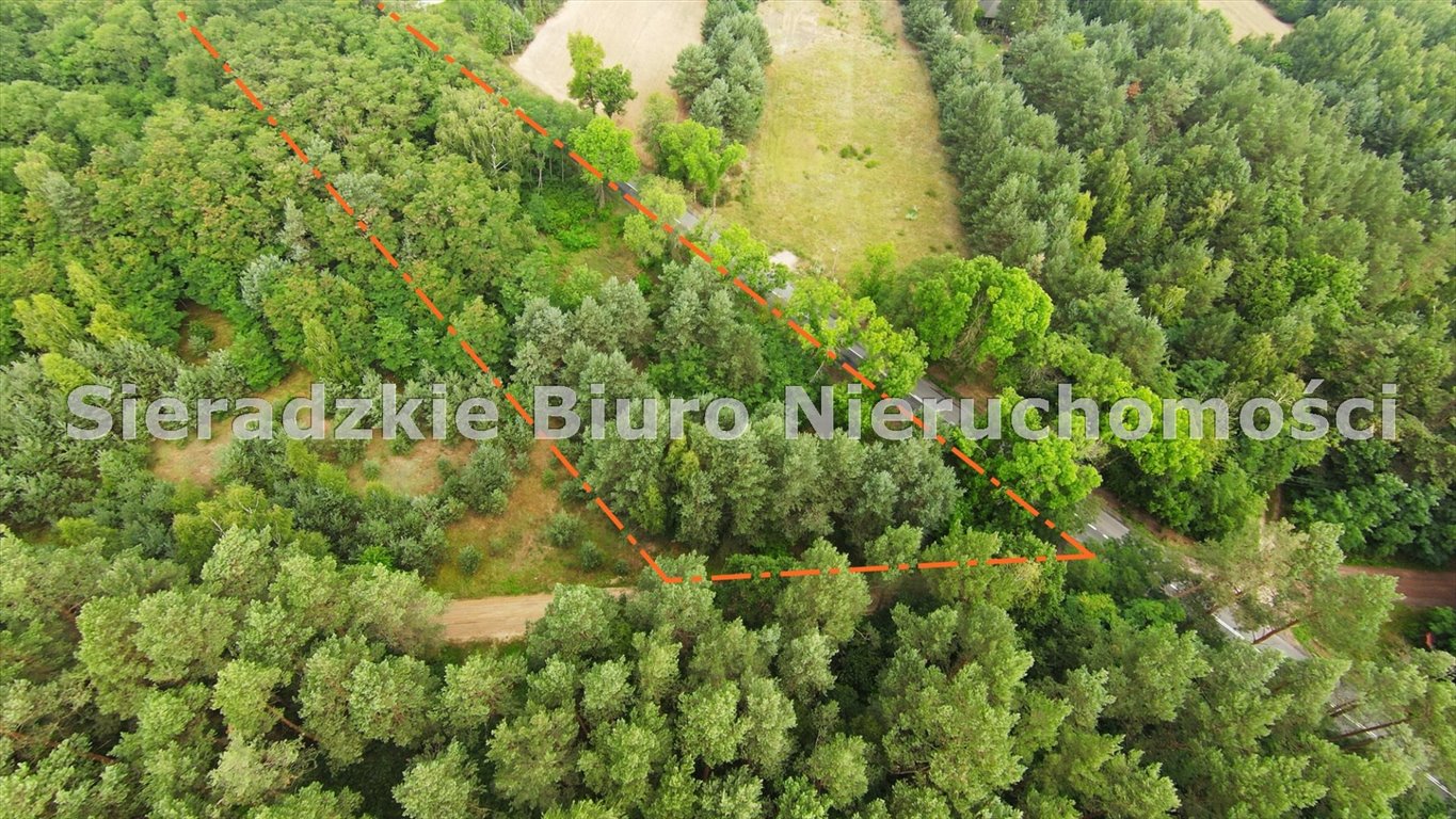 Zdjęcie 8