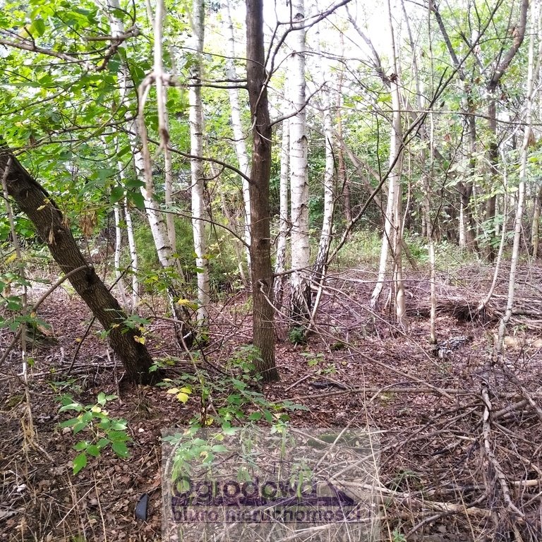 Działka budowlana na sprzedaż Słomin  1 500m2 Foto 2