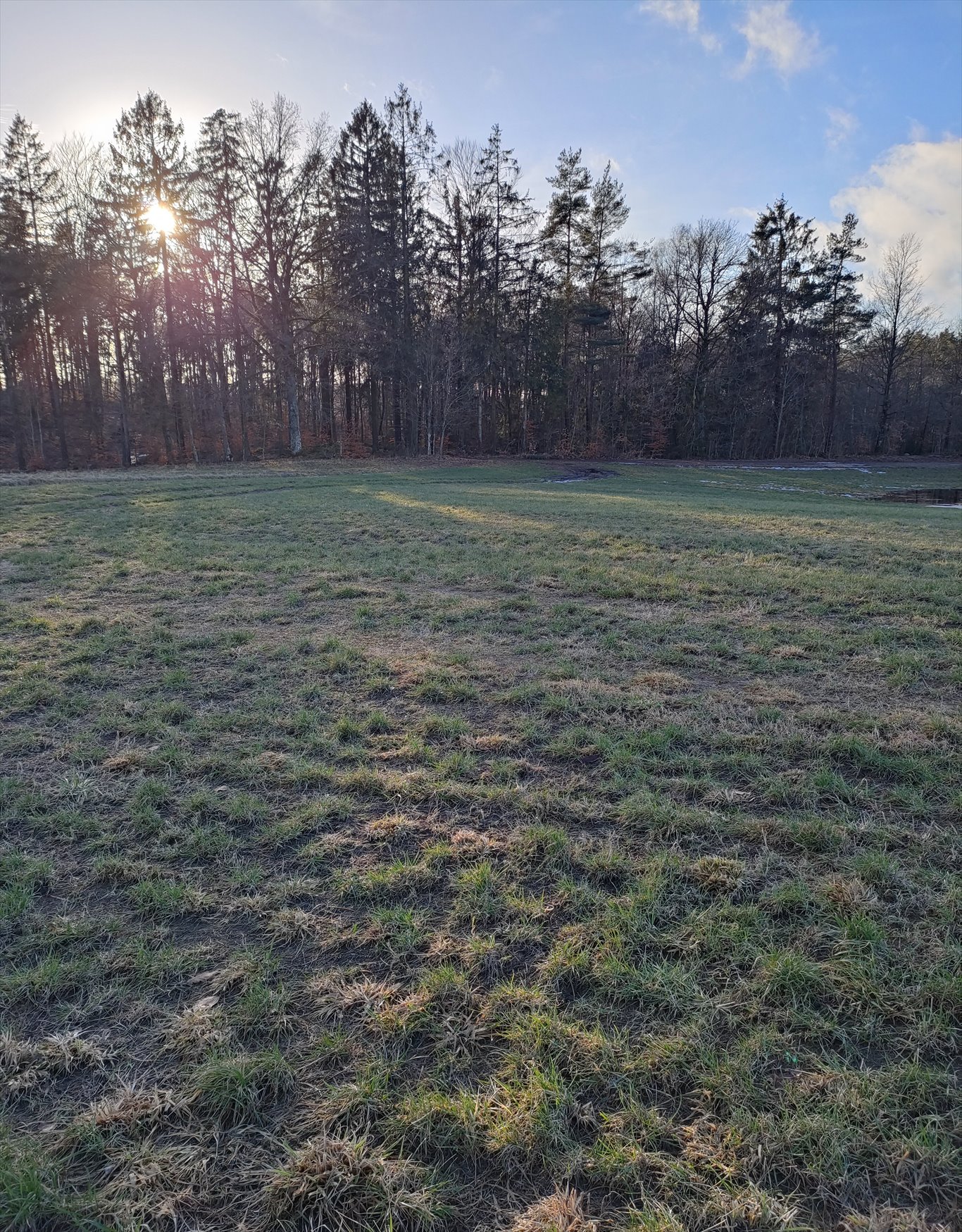 Działka siedliskowa na sprzedaż Cewice, pieski  3 000m2 Foto 1