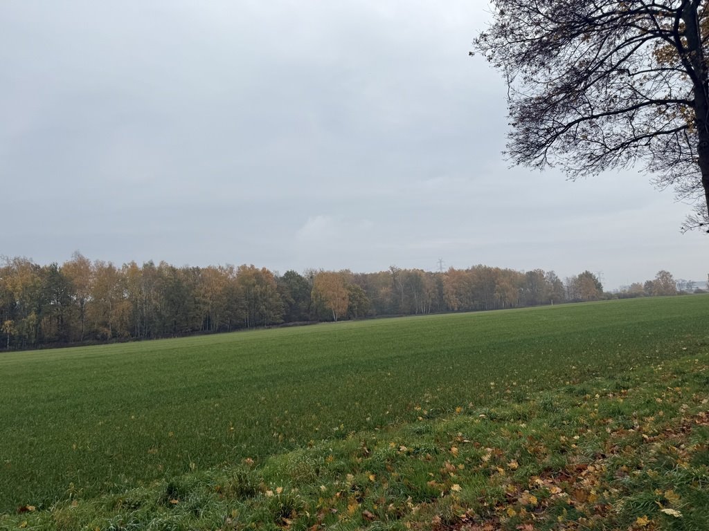Działka inwestycyjna 12 200 m² z mediami i dobrym dojazdem - polecam! Chrząstowice, Leśna  12 200m2 Foto 1