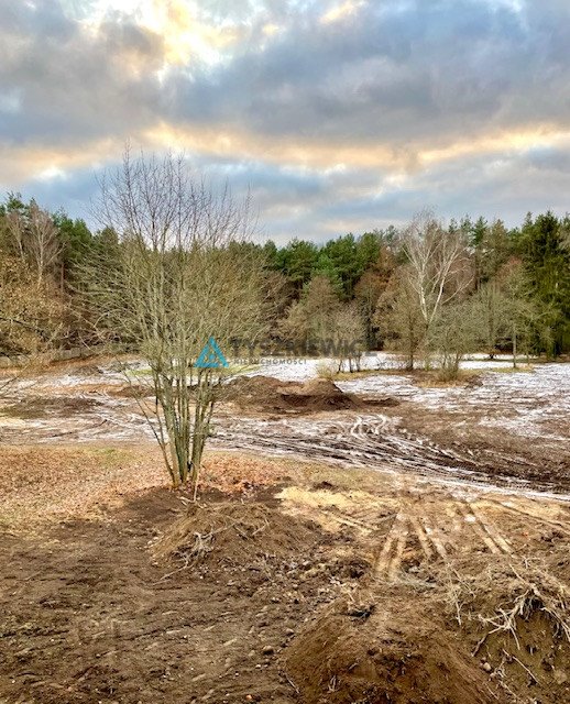 Działka inwestycyjna na sprzedaż Sokole-Kuźnica  9 761m2 Foto 12