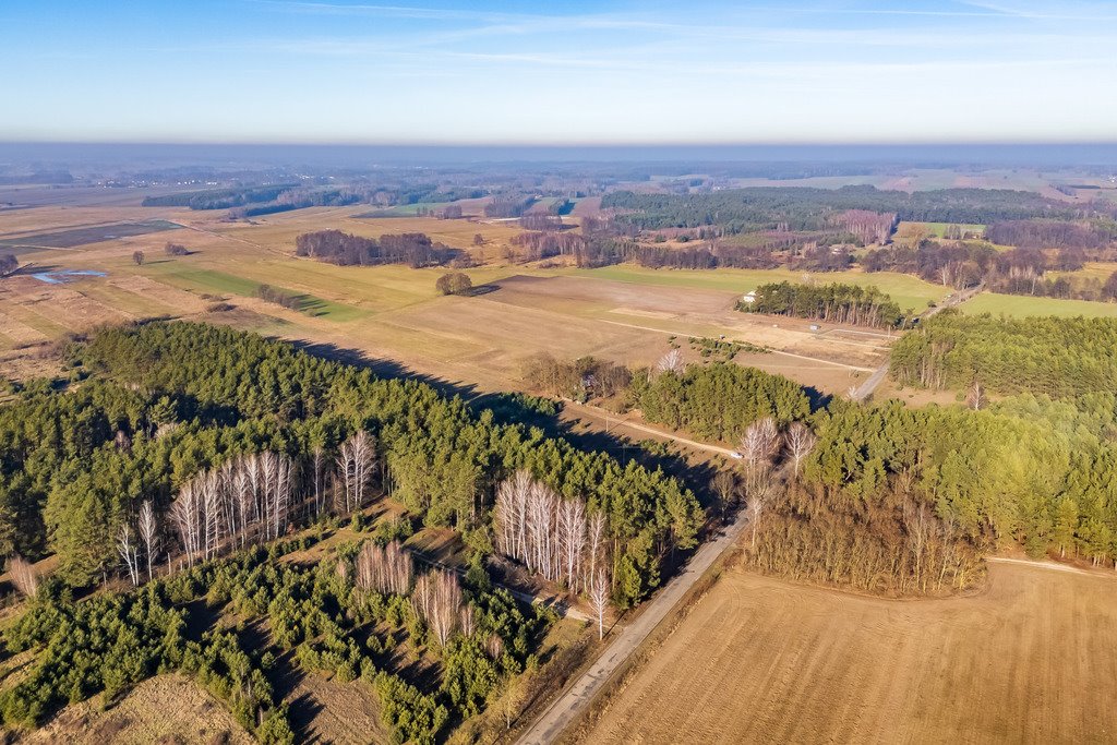 Działka siedliskowa na sprzedaż Borki  101 600m2 Foto 15