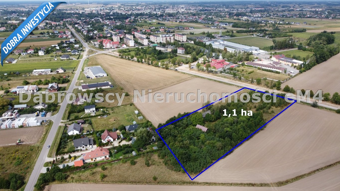 Działka budowlana na sprzedaż Widowo, Białowieska  10 926m2 Foto 1