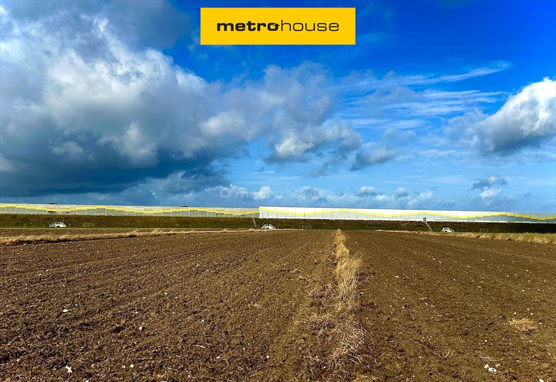 Działka rolna na sprzedaż Barycz  4 786m2 Foto 1