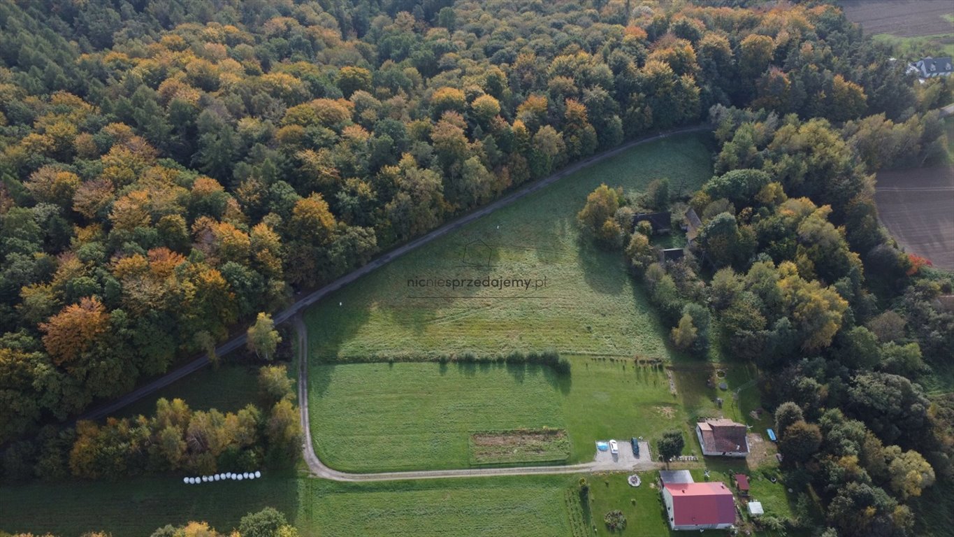 Działka budowlana na sprzedaż Dębno, Sufczyn, Sufczyn  1 347m2 Foto 4