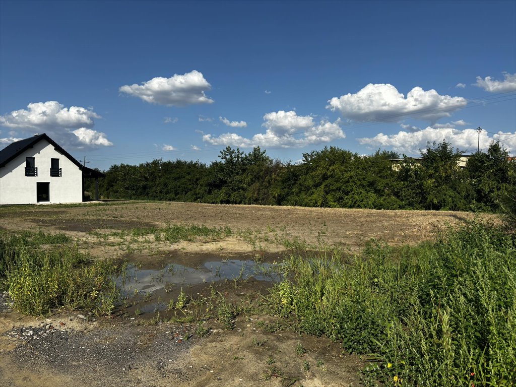 Działka budowlana na sprzedaż Malbork  1 297m2 Foto 3