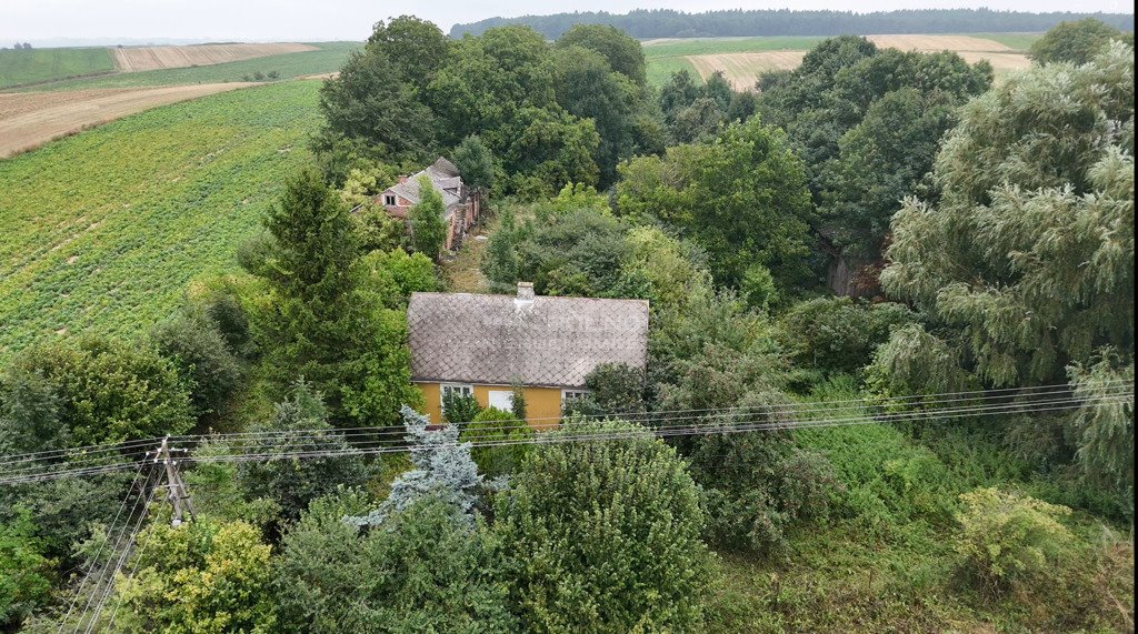 Działka inna na sprzedaż Telatyn, św. Anny  8 800m2 Foto 3