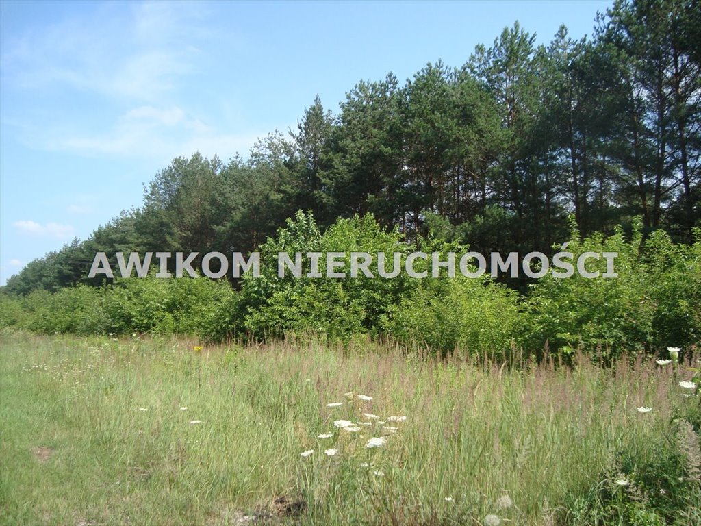 Polecam dużą działkę siedliskową 12 900 m² w Many Many  12 900m2 Foto 1