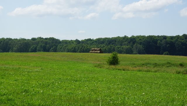 Polecam działkę z lasem i oczkiem wodnym 12 ha w Bobolicach Bobolice  120 880m2 Foto 1