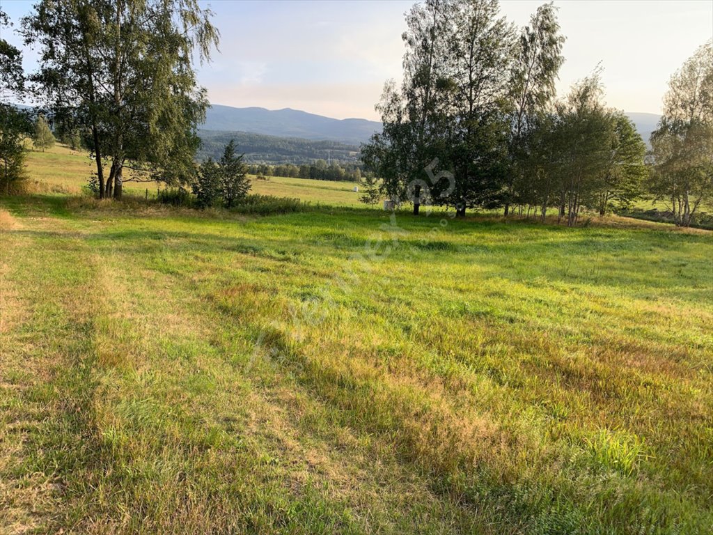 Działka budowlana na sprzedaż Szklarska Poręba  2 150m2 Foto 3