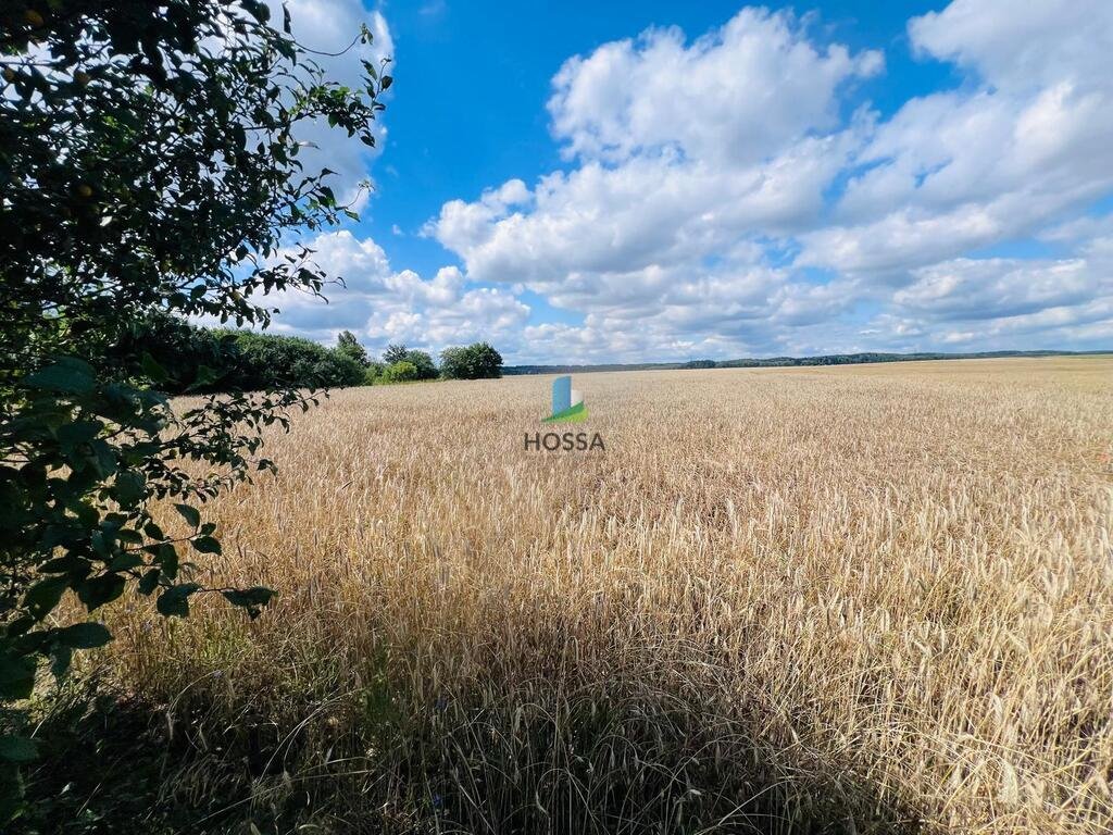 Działka budowlana na sprzedaż Radomin  15 898m2 Foto 4