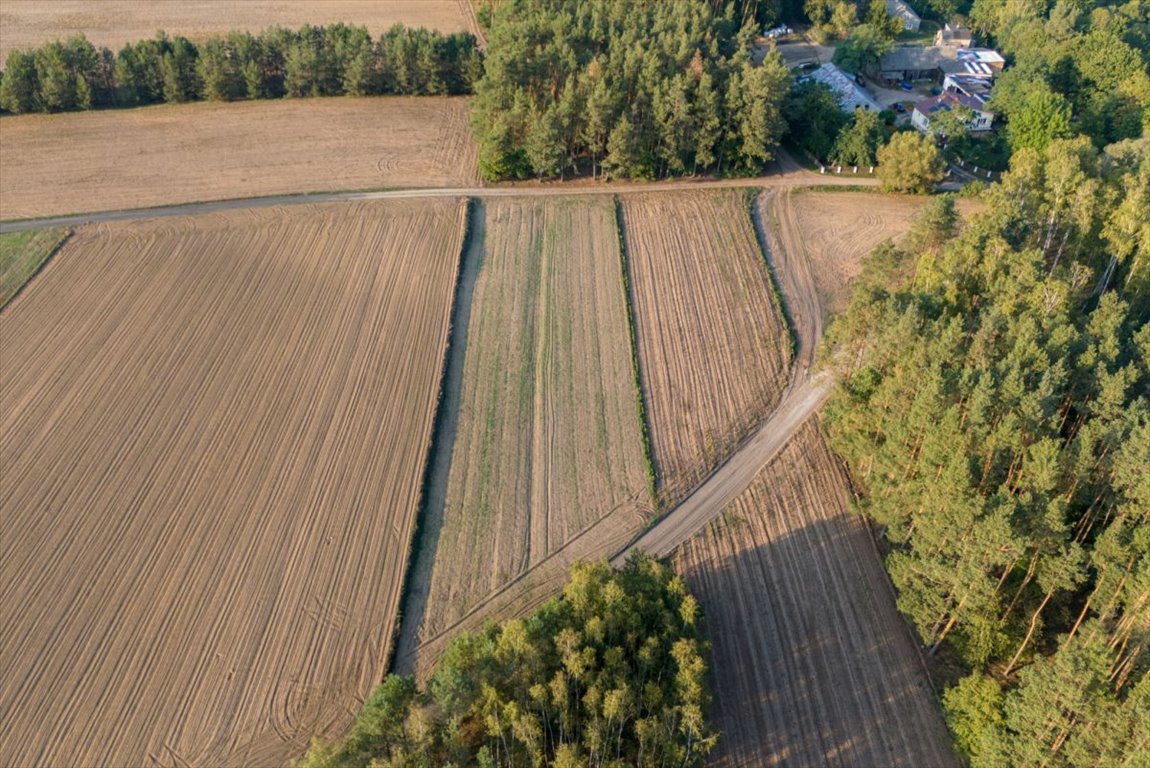 Działka rolna na sprzedaż Jesionka  2 800m2 Foto 2