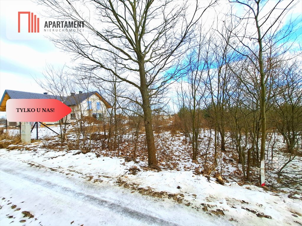 Działka 3260 m² z mediami, Warunki Zabudowy, Morzewiec Morzewiec  3 260m2 Foto 1