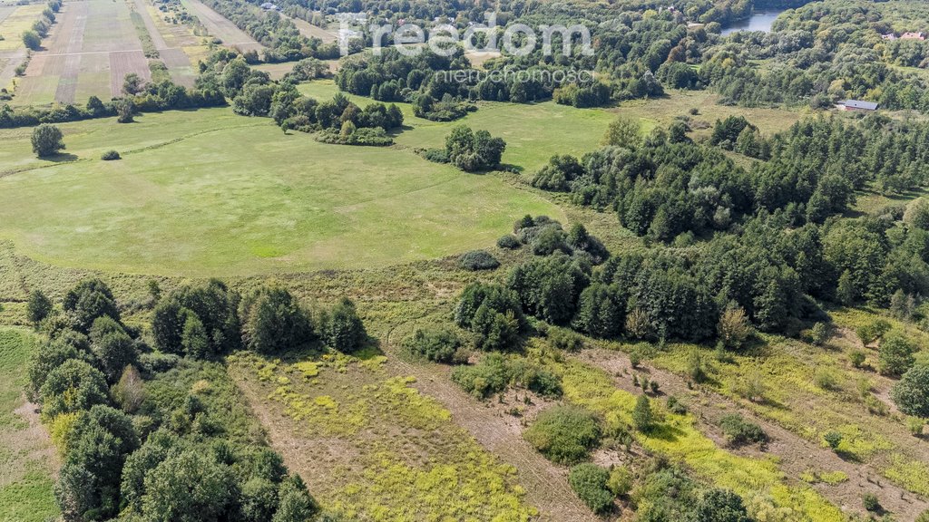 Działka rolna na sprzedaż Ostrówiec  3 924m2 Foto 11