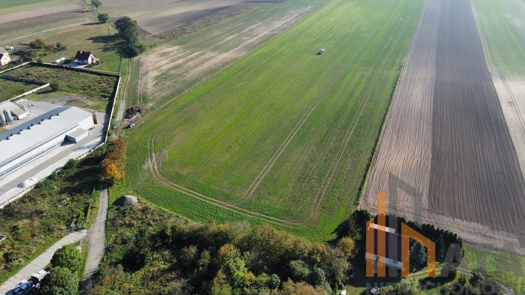 Działka budowlana na sprzedaż Kryniczno  12 400m2 Foto 2