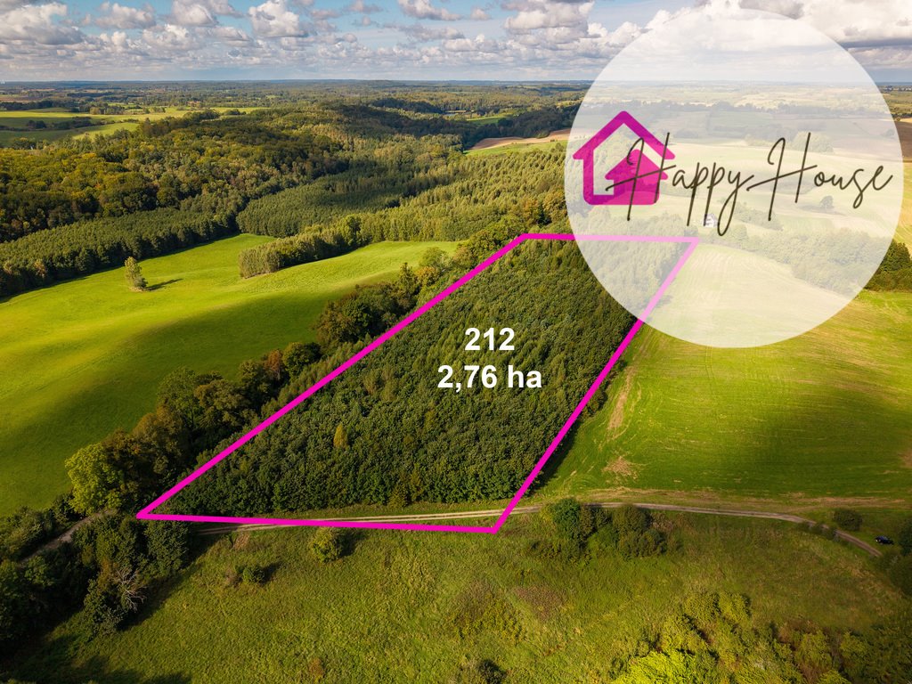 Leśne działki w Kalistach 5,98 ha zapraszam Kalisty  59 800m2 Foto 1
