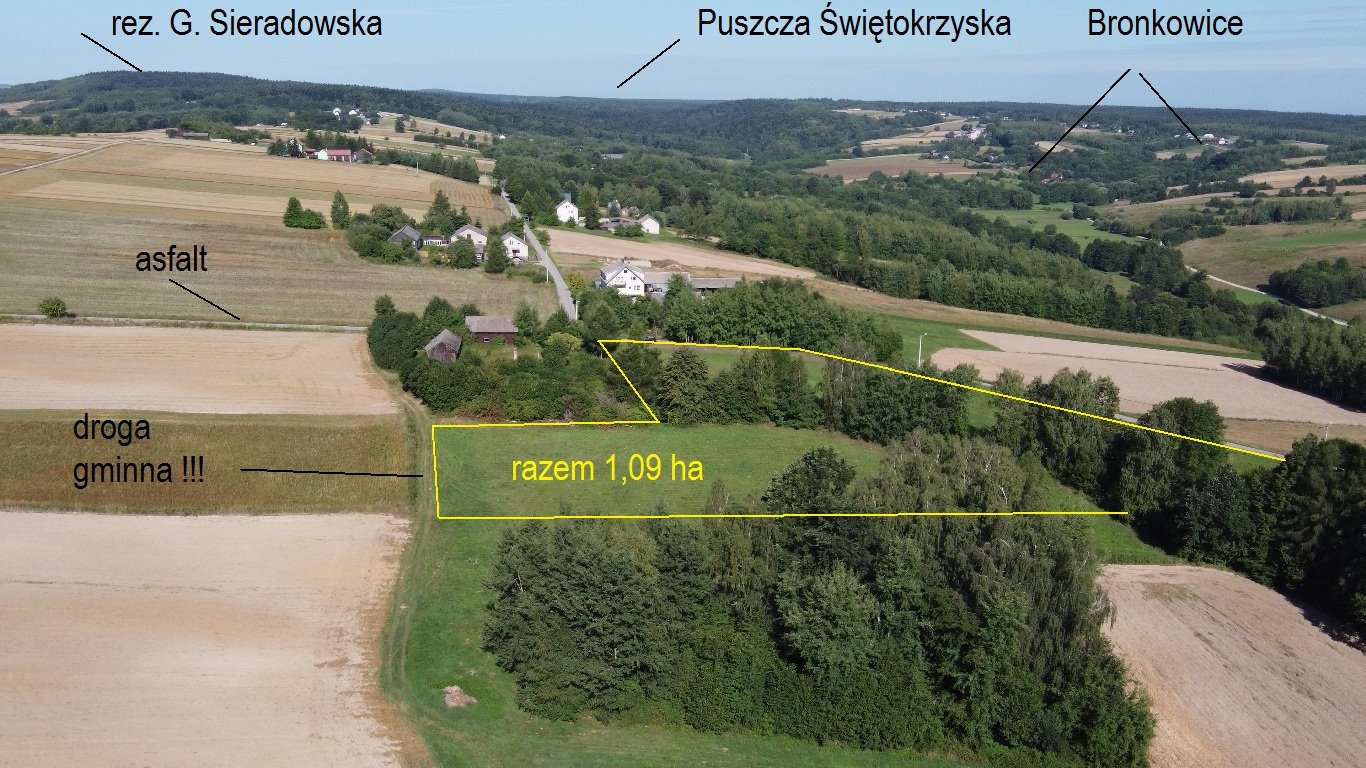 Działka budowlana na sprzedaż Radkowice-Kolonia  10 921m2 Foto 6