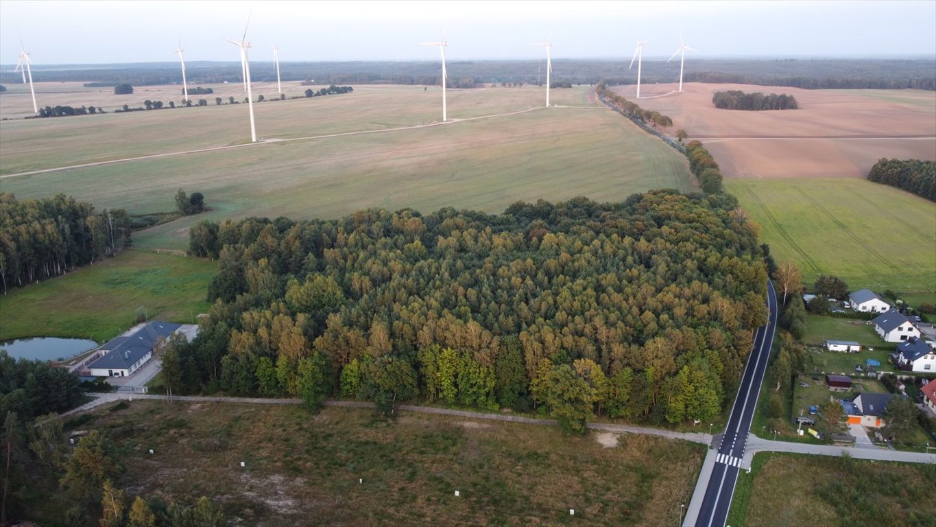 Działka leśna z prawem budowy na sprzedaż Głobino, Przy Lesie  6 200m2 Foto 11