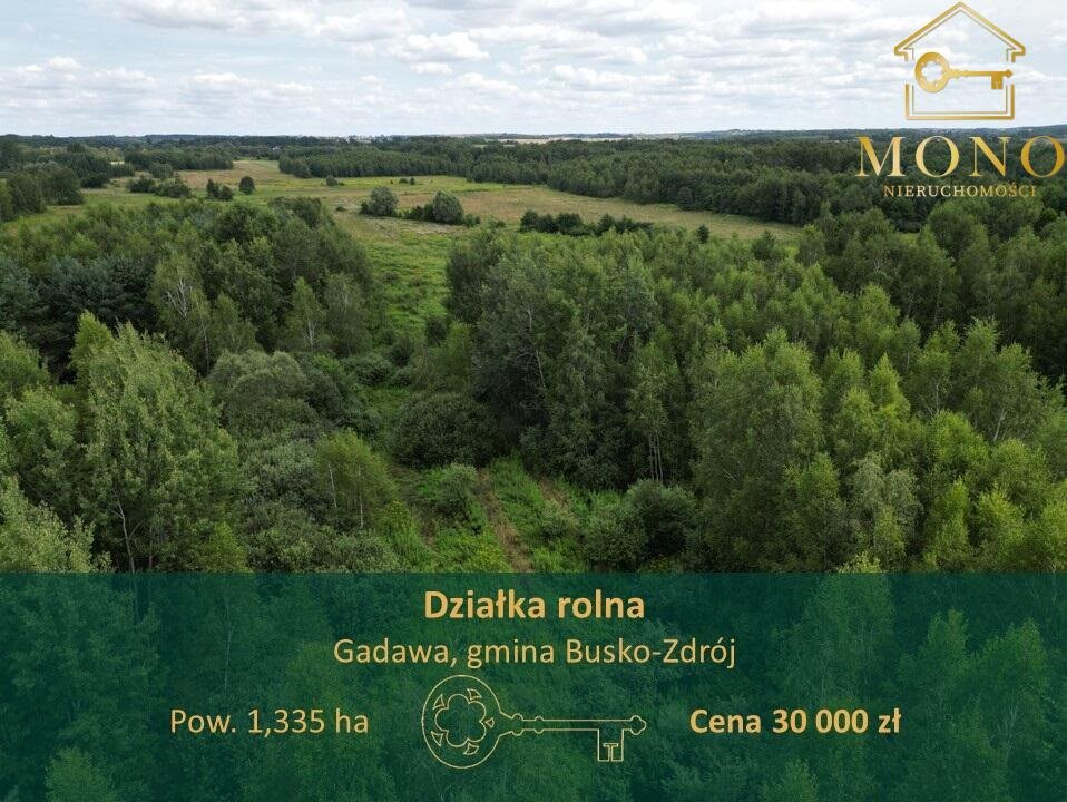 Działka rolna na sprzedaż Gadawa  13 350m2 Foto 1