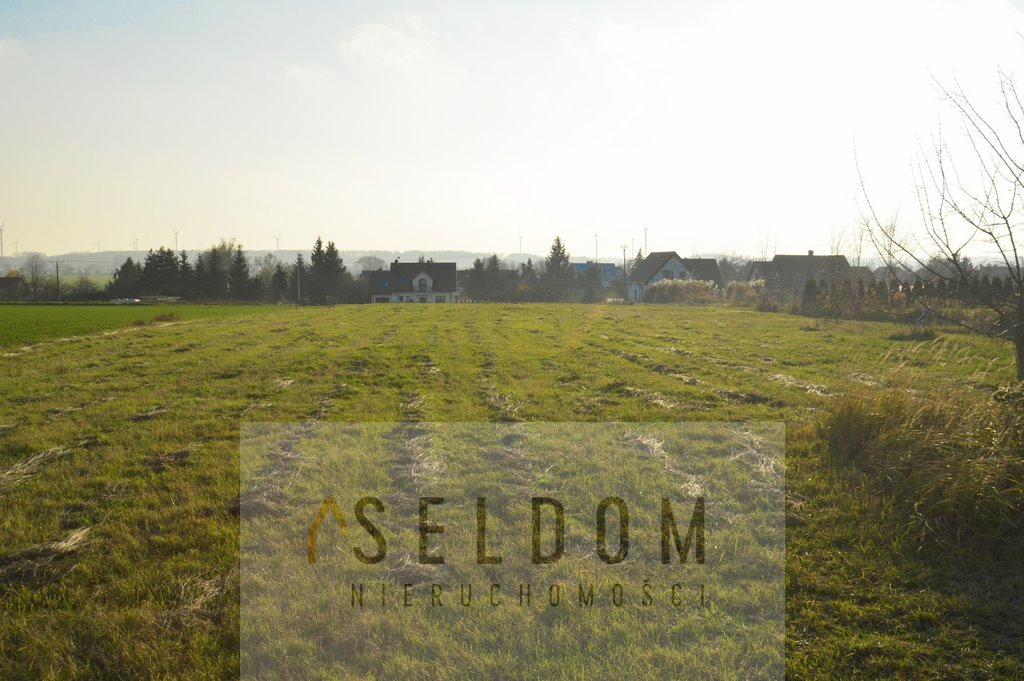 Działka inna na sprzedaż Grzybiany  2 460m2 Foto 1